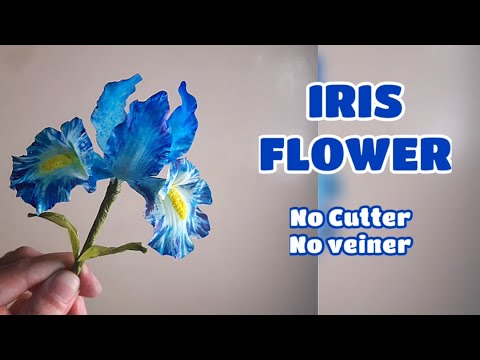 IRIS FLOWER MADE WITH NO CUTTER, NO VEINER Vlog 31 by Marckevinstyle