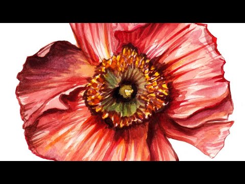 La Vie En Rose by AK (Ver 1)