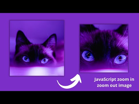 JavaScript zoom in  & zoom out image on mousemove() & mouseleave() respectively