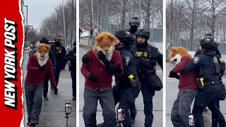 Watch ICE Mercilessly Take Down Dancing Fox Protester