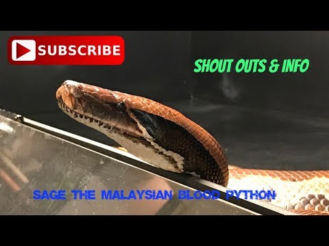 SHOUT OUTS & INFO