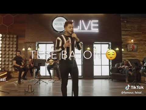 Music MG LIVE performance
