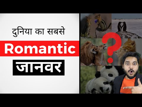 दुनिया का सबसे Romantic जानवर | Facts |#shorts #facts