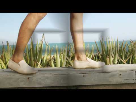 Motivation Video