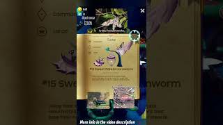 #15 Sweet Potato Hornworm - Agrius convolvuli (Linnaeus, 1758) | Flutter: Starlight