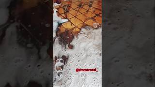 SATISFYING FOAM ASMR CLEANING #youtube#youtubeshorts#cleaning#foam#asmr