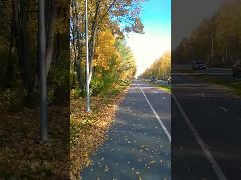 #finland #suomi #nature #naturelovers #natural @beautiful #kaunis #maa #shorts #relaxing #trending