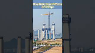Mega bridge tops 171 meters in 470 days#BridgeEngineering #ChinaSpeed #MegaStructure #china
