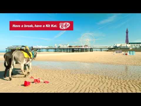 KITKAT UK Cone Donkeys