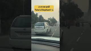 Real Legend 🔥 #tata #tatahexa #tataarya #tataharrier #tatapunch #tatanexon #tatasafari #tatamotors