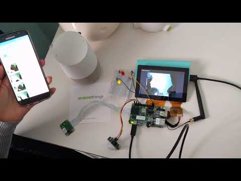 Motion Sensing Camera controlled with Google Assistant