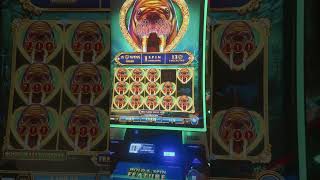 #casino #dothingsyoudontwanttodo #casinogames #gamblingtips #slot #lifeisbutadream
