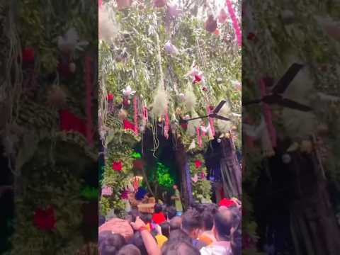 #bankebihari #bankebiharitemple #bankebiharikidekhchhta #ytshorts #travel #vrindavan #vrindavanmarg