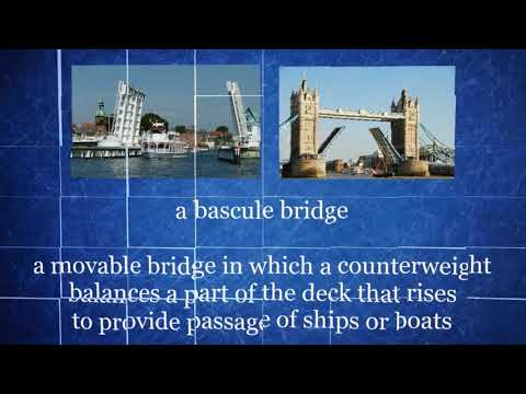 EfCE: Vocabulary focus 8