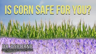 Gluten free diet?  Better Avoid Corn