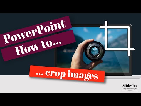 How to crop images in PowerPoint | PowerPoint tips
