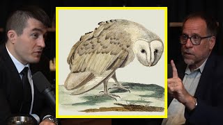 The Truth About Truth (And The Mysteries of Objective Reality) | Lex Fridman and John Vervaeke