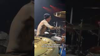 Travis Barker Drumcam (Blink 182 - Dumpweed) #travisbarker #drummer #drumcam #blink182 #livemusic