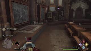 Harry  Potter