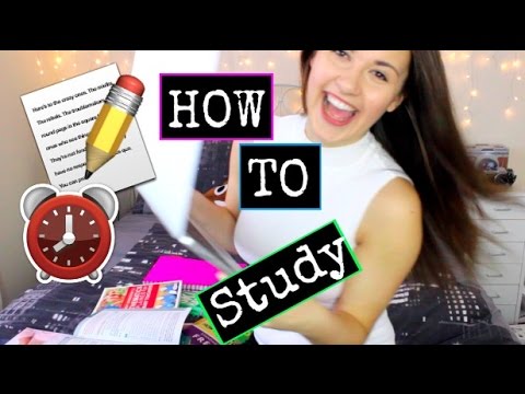 STUDYING TIPS TO SURVIVE EXAMS