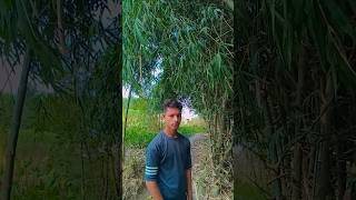 I also thought about this - एक दिन मैंने भी दिमाग ! digital comdey 🤣??#funnyvideo
