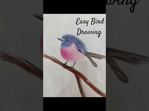 Hızlı ve kolay kuş çizimi 💖 | #kuşçizimi #çizim #sanat #shorts #hızlıçizim #art #drawing #bird