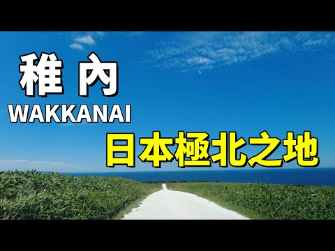 北海道深度遊｜日本最北的城市有什麼？｜隱秘的白色道路上盡有黑毛和牛｜向日葵花海