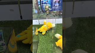 #clawmachine #arcade #pokemon #pokemonplush #pawmi #sydney #viral #clawmachinewin #ufocatcher #pkmn