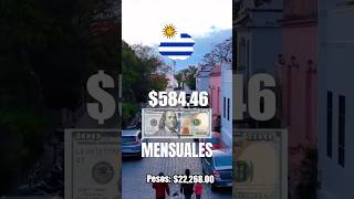 Salarios Mínimos Más Altos de Latinoamérica 2024 💵