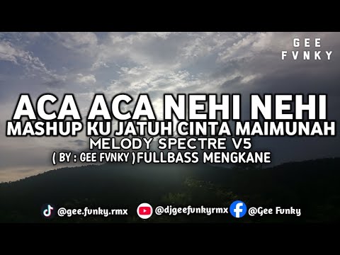 DJ - ACA-ACA NEHI-NEHI x MASHUP KU JATUH CINTA MAIMUNAH x MELODY SPECTRE FULLBASS TERBARU 2025