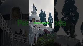Shanti stupa w.Bengal