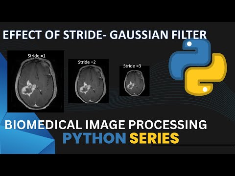 Stride effect Gaussian filter | Code implementation | Biomedical Image Processing