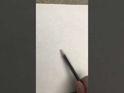 Lion drawing