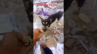 Help Kiya Kro Bhaiya Logo Plz🙏#helpvideo #trending #shorts #viralshort
