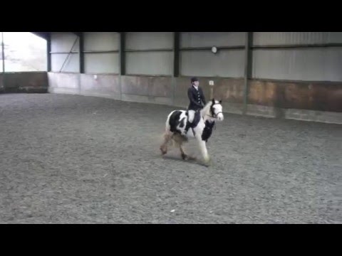 Dressage - Intro B - 07/02/16 - Riding Cloud