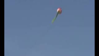 Hardwing Kite-Lotus.flv