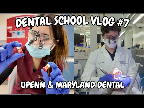 Dental School VLOG #7 | Dentures, Crowns, & Root Canals!