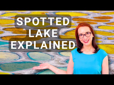 Why Spotted Lake British Columbia Looks Like It’s Covered in Giant Polka Dots
