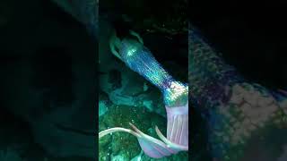 Cave dives overwhelm me 😳 #mermaid #h2o #floridatravel #underwater #diving #cosplay #littlemermaid