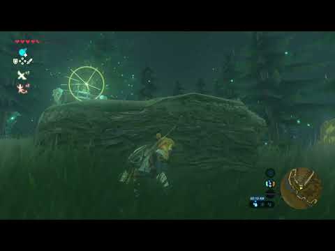 you ok, lizard man? [BOTW]