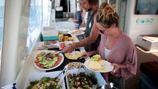 Ocean Eco Adventures Humpback Whale Swim