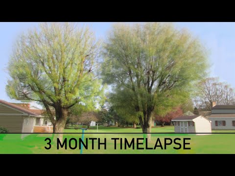 3 months in 30 seconds