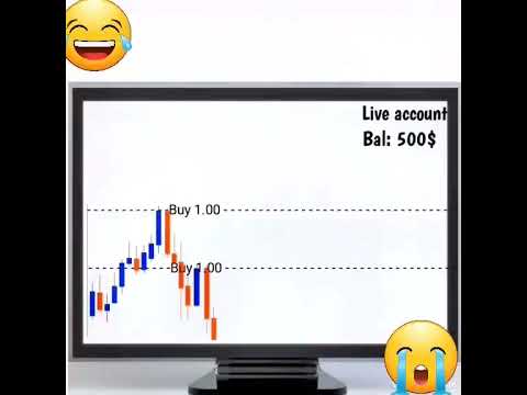 Beginner Forex Traders: Uncovering the Shocking Reality #shorts