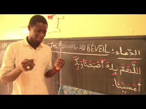 CI -  CP - ARABE