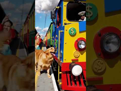 dog drive train #viral #funny #cartoonbackgroundmusic #cartoon #ekmotahathighumechala