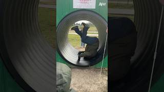 Don't let anybody tell you how to have fun! 😂 #shorts #fail #funny #playground