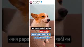 #meme #funnydog #fannyvideo #shaadimeme #desiwedding #dogmeme #memeshorts