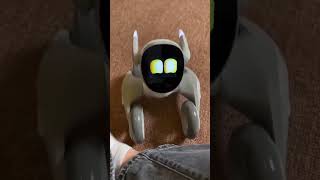 PLAYING WITH MY PET ROBOT