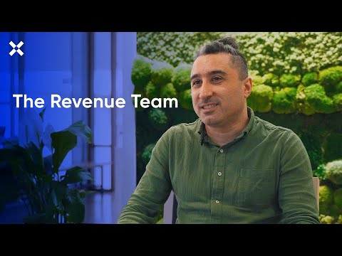 Chief Revenue Officer: 3 - The #revenue Team | Beltan Tönük