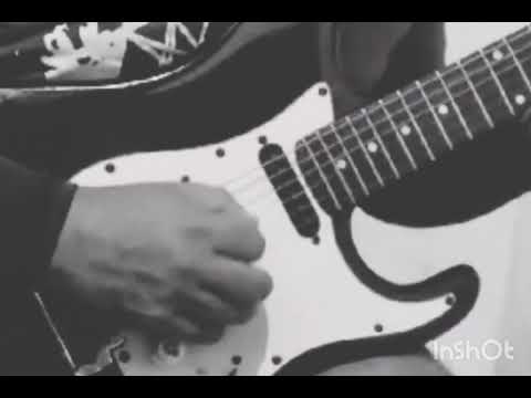 Training de Shred